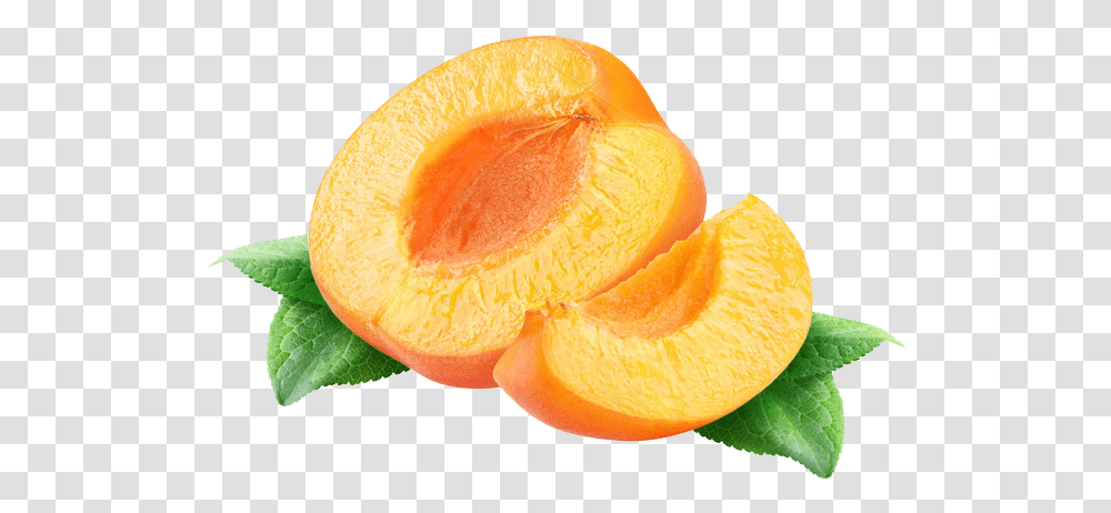 Apricot, Plant, Fruit, Produce, Food Transparent Png