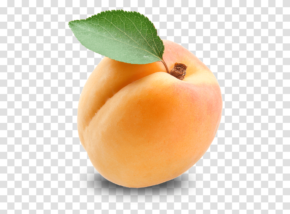 Apricot, Plant, Fruit, Produce, Food Transparent Png