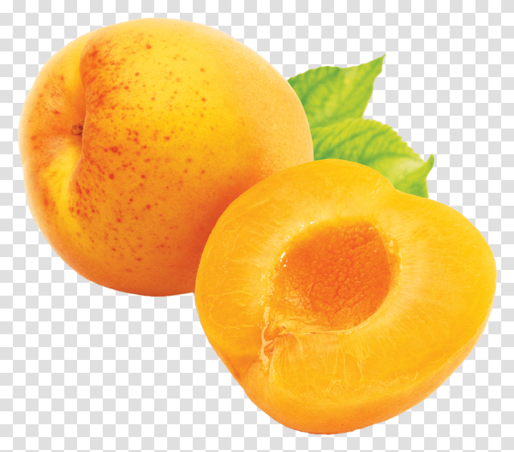Apricot, Plant, Produce, Food, Fruit Transparent Png