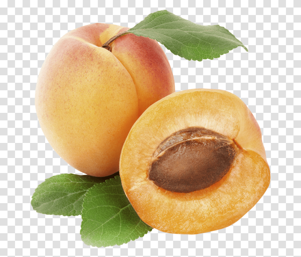 Apricot Rex Orange County, Plant, Fruit, Food, Produce Transparent Png