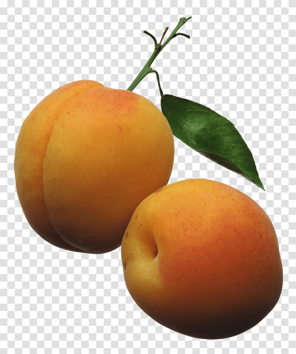 Apricots Clipart Picture Ovoce A Zelenina Clip, Plant, Fruit, Produce, Food Transparent Png