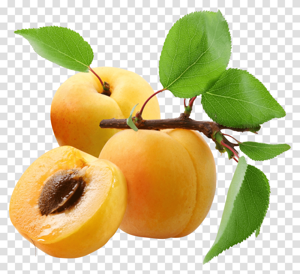Apricots Transparent Png