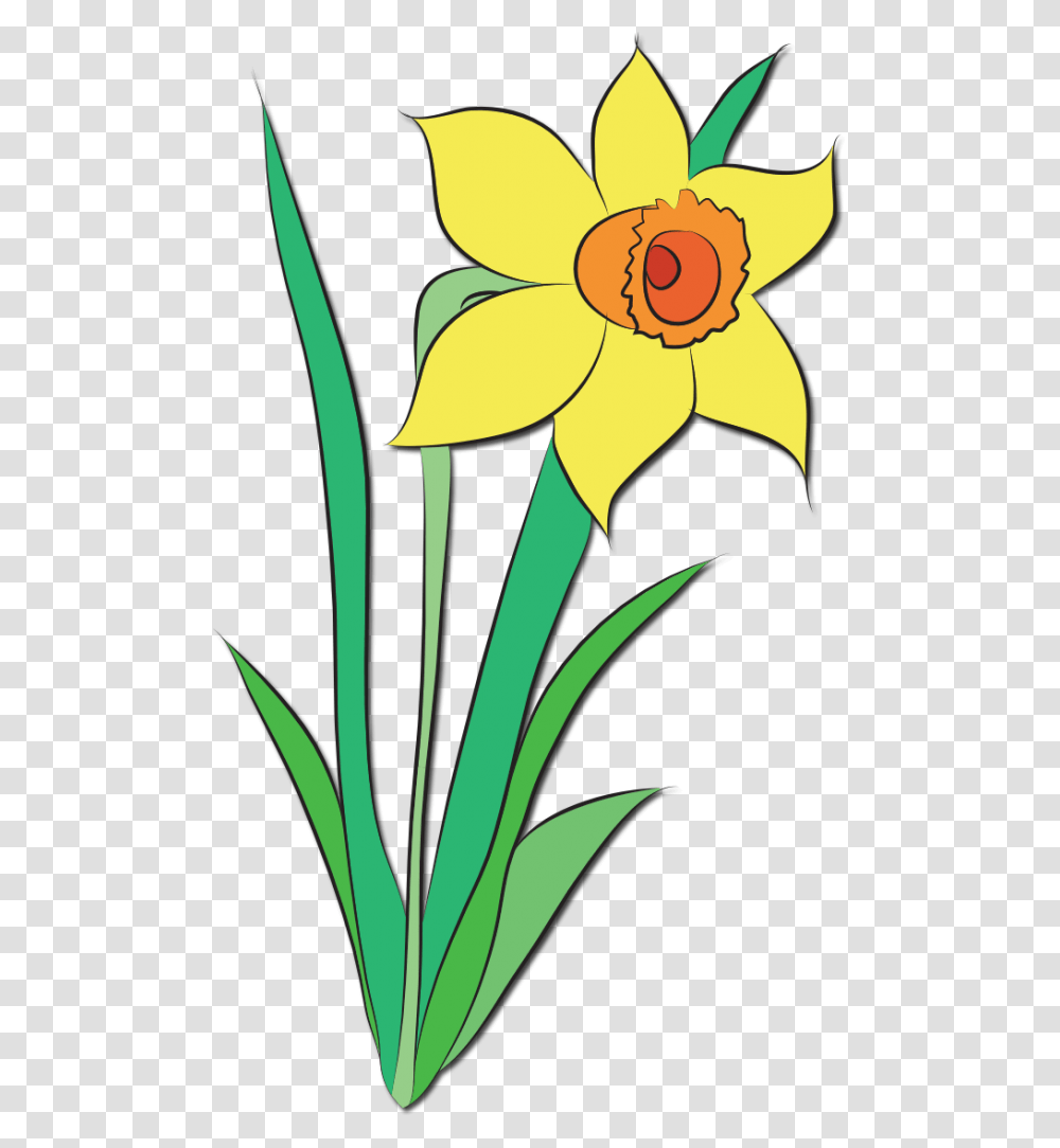 April Clip Art, Plant, Flower, Blossom, Daffodil Transparent Png