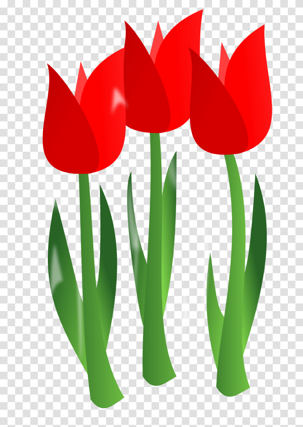 April Clip Art, Plant, Flower, Blossom, Tulip Transparent Png