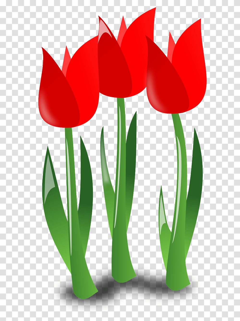 April Flowers Clip Art, Plant, Blossom, Tulip Transparent Png