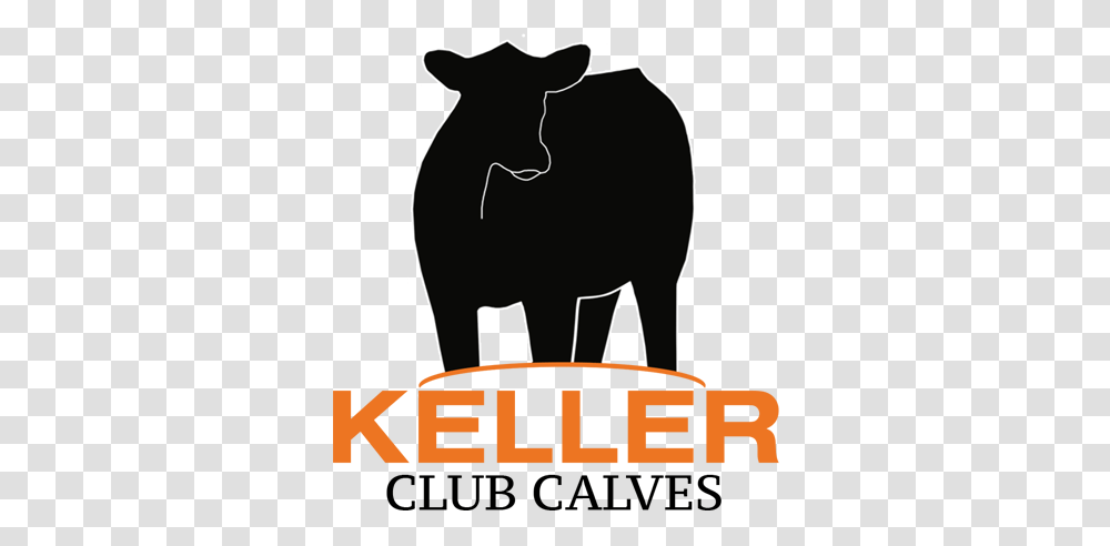 April Keller Club Calves, Silhouette, Mammal, Animal, Bull Transparent Png