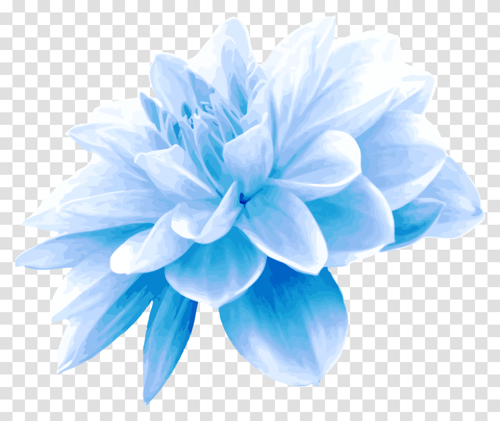 Aqua Blue Flower Pink Colour Flower, Plant, Dahlia, Blossom, Geranium Transparent Png