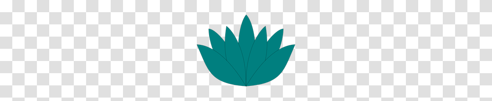 Aqua Lotus Flower Clip Art For Web, Leaf, Plant, Blossom, Pattern Transparent Png