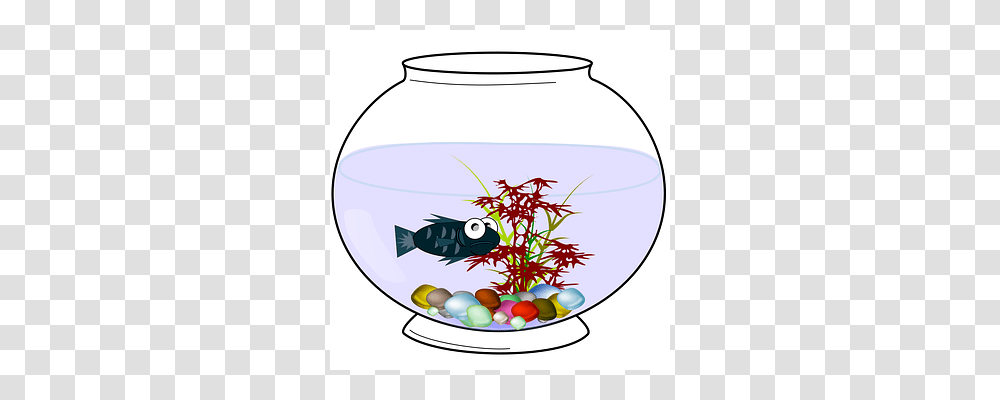 Aquarium Animal, Jar, Bird, Pottery Transparent Png