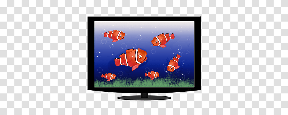 Aquarium Animals, Monitor, Screen, Electronics Transparent Png