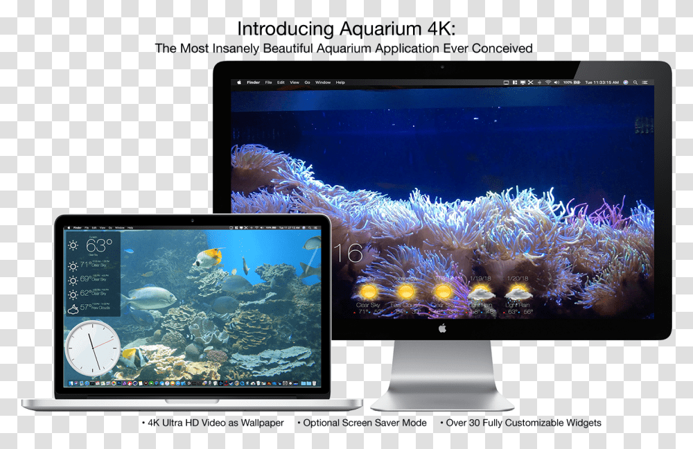 Aquarium 4k Live Wallpaper 1.0 1 Mac, Monitor, Screen, Electronics, LCD Screen Transparent Png