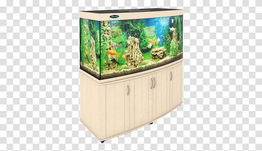 Aquarium Aquarium, Water, Sea Life, Animal, Pineapple Transparent Png