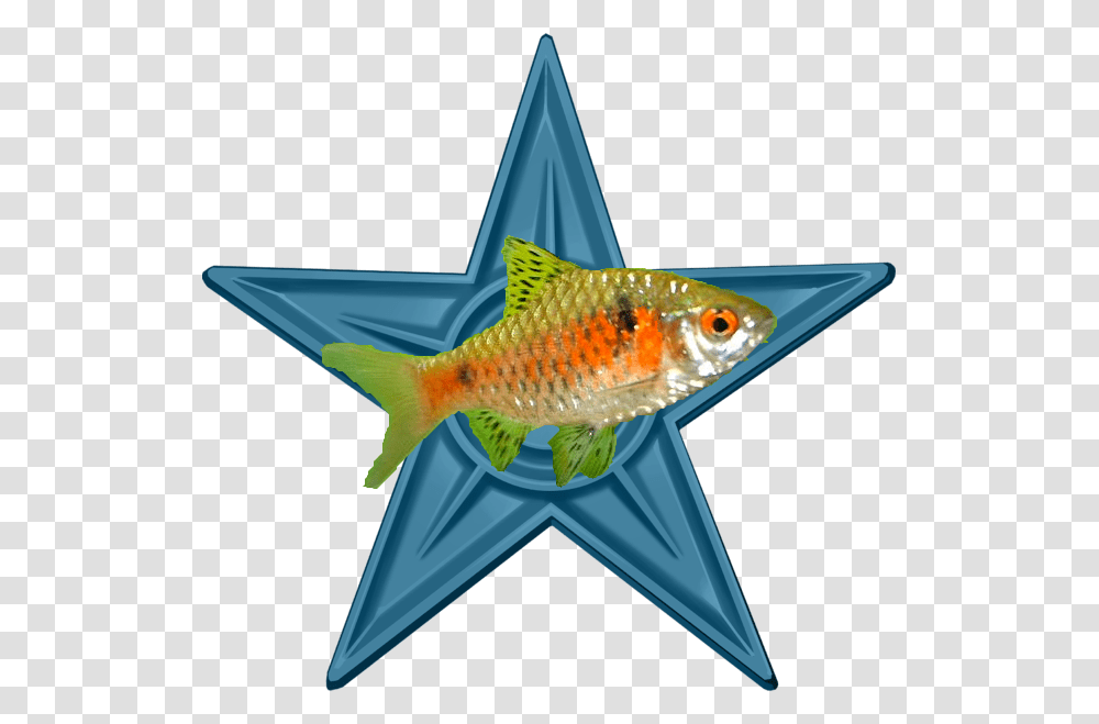 Aquarium Fish Barnstar Video Game, Animal, Sea Life, Angelfish, Goldfish Transparent Png