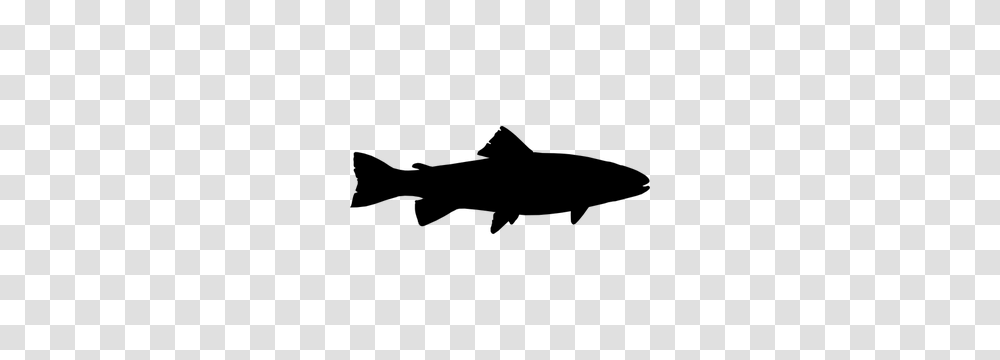 Aquarium Fish Clip Art Free, Gray, World Of Warcraft Transparent Png