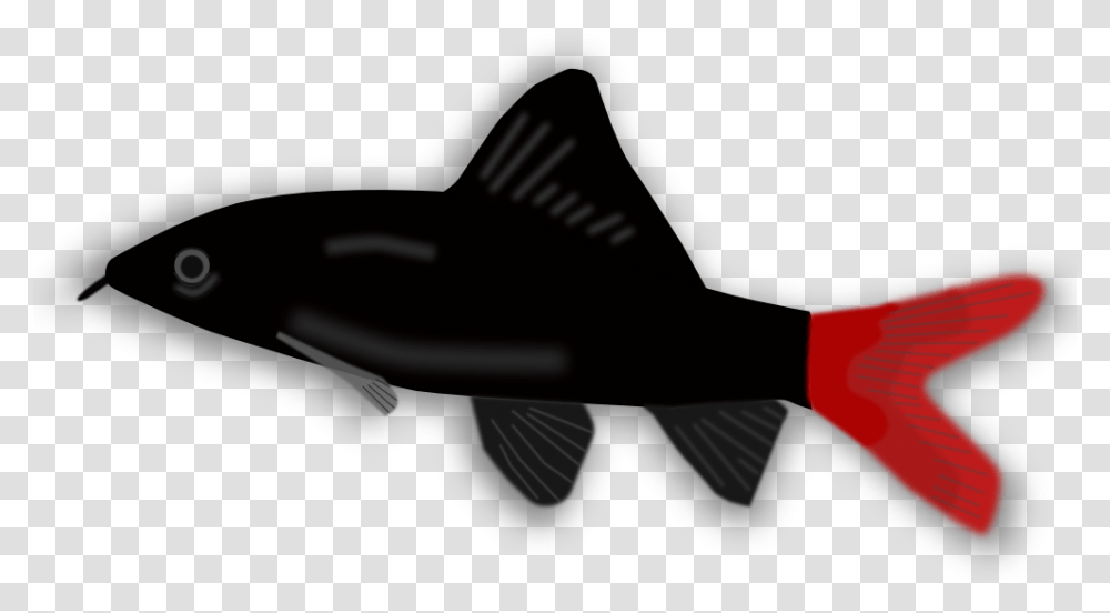 Aquarium Fish Small Black And Red Fish, Sunglasses, Accessories, Goggles, Animal Transparent Png