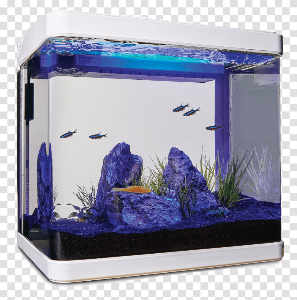 Aquarium Fish Tank Clipart Imagitarium Freshwater Cube Aquarium Kit 5.2 Gal, Sea Life, Animal, Box, Airplane Transparent Png