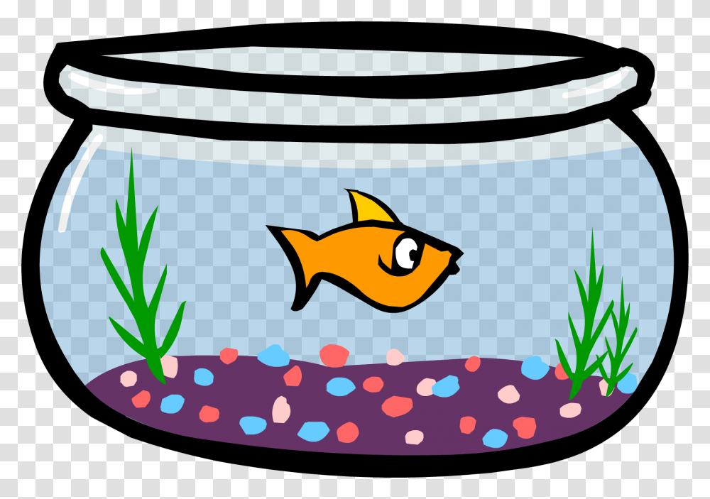 Aquarium, Furniture, Bucket Transparent Png