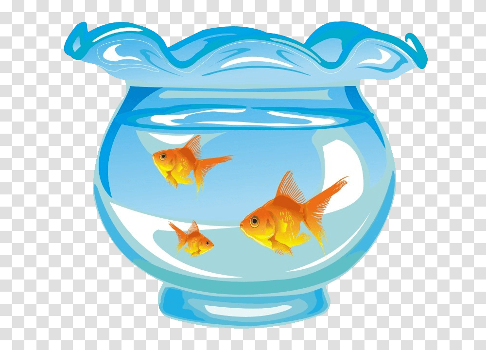 Aquarium, Furniture, Fish, Animal, Goldfish Transparent Png