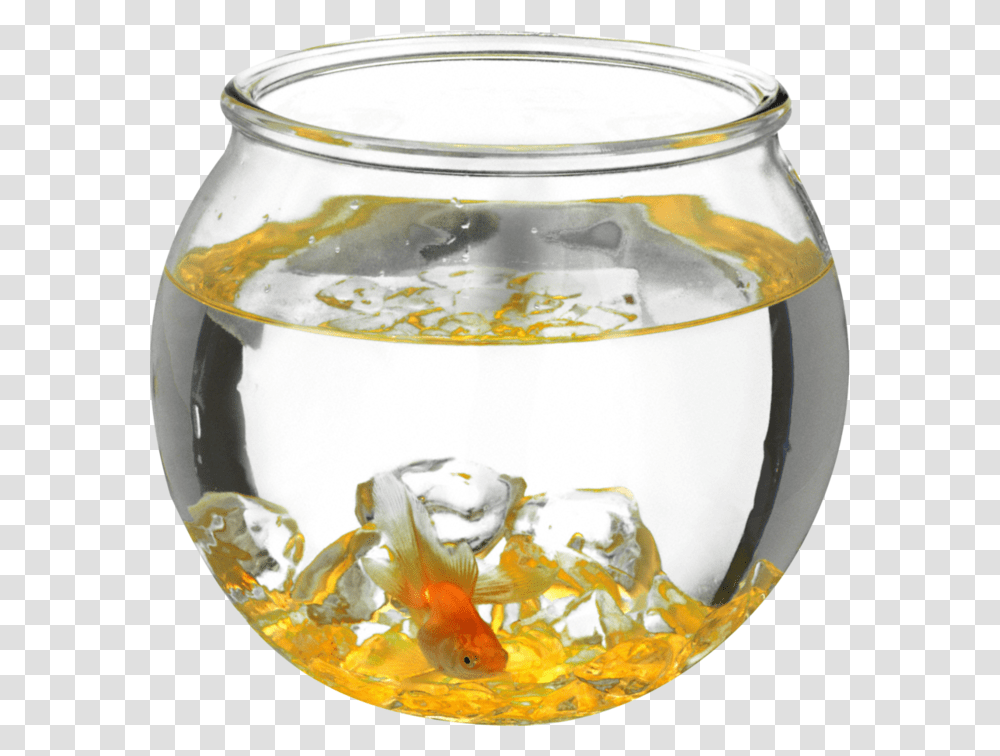 Aquarium, Furniture, Goldfish, Animal, Jar Transparent Png