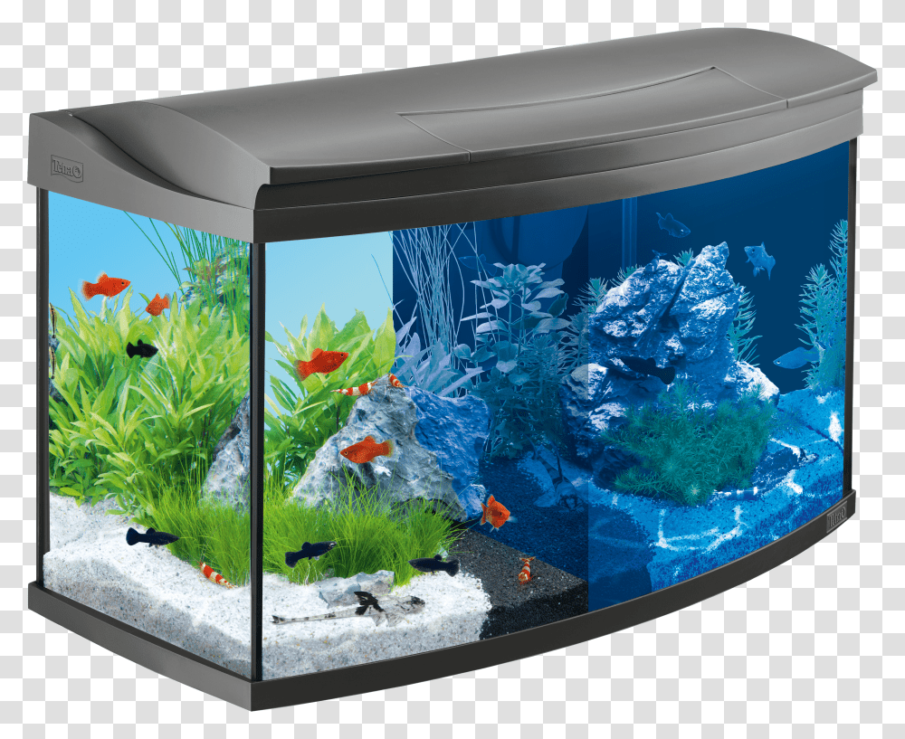 Aquarium, Furniture Transparent Png