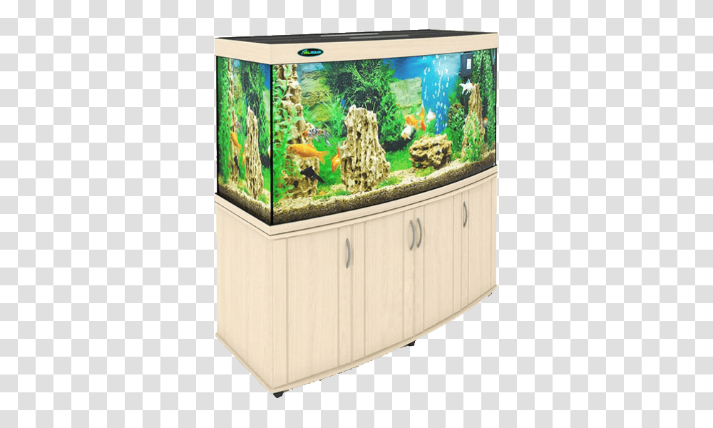 Aquarium, Furniture, Water, Sea Life, Animal Transparent Png