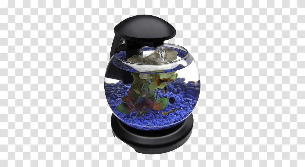 Aquarium, Furniture, Water, Sea Life, Animal Transparent Png