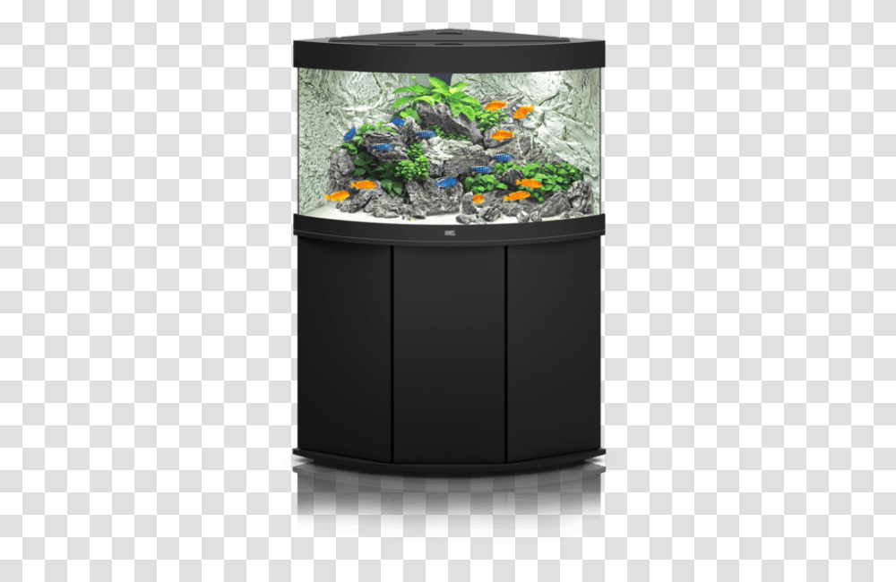 Aquarium Images Juwel Cliff Light Background, Water, Sea Life, Animal, Machine Transparent Png
