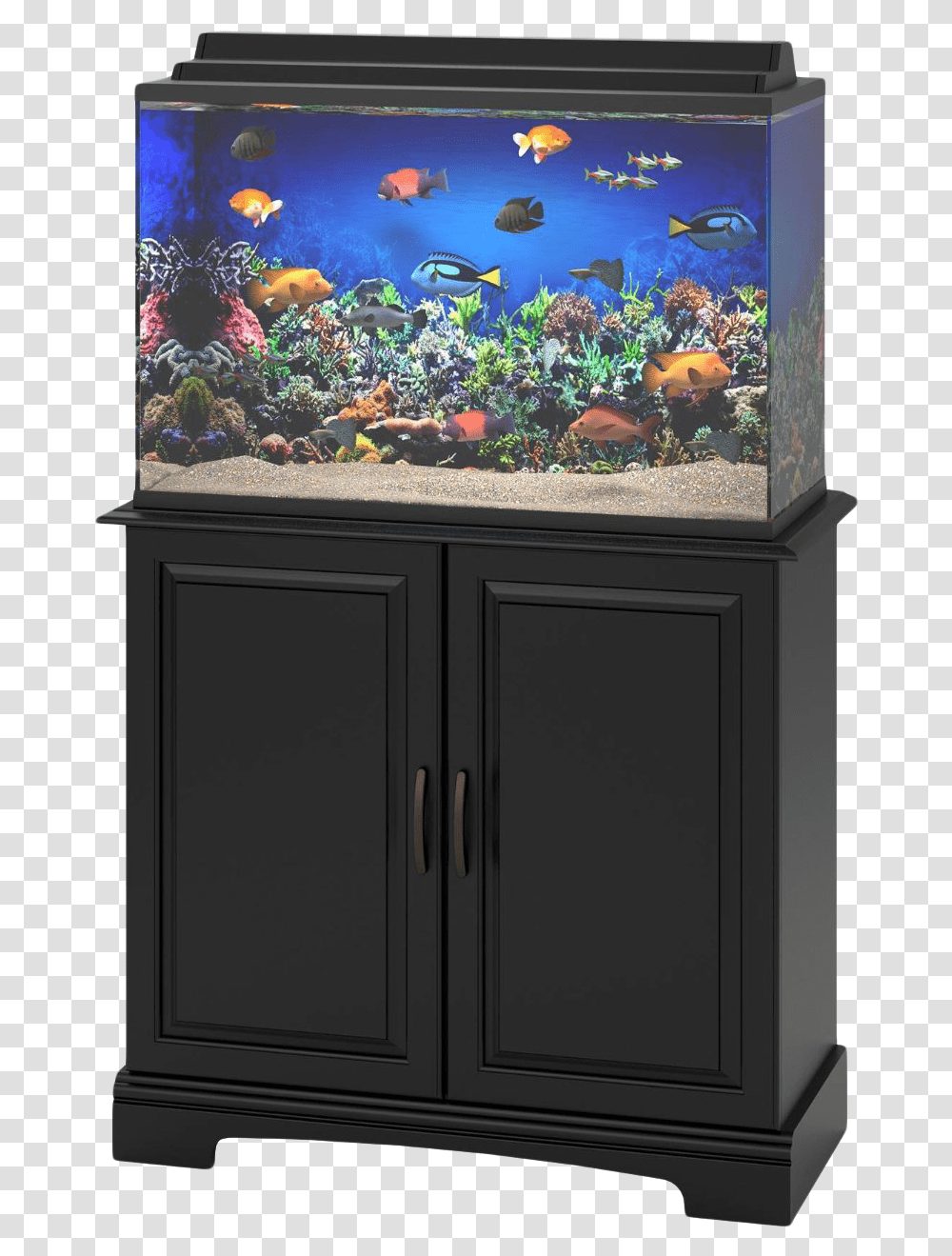 Aquarium Life Background Fish Aquarium Tank, Water, Animal, Aquatic, Sea Transparent Png