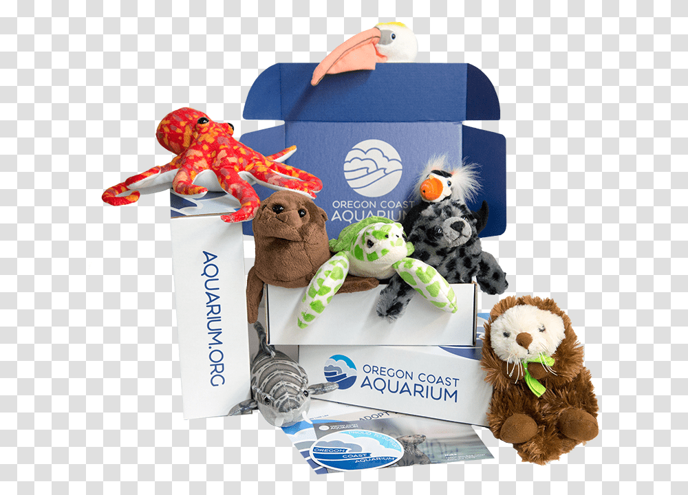 Aquarium Of The Pacific Toys, Plush, Teddy Bear, Paper, Sweets Transparent Png