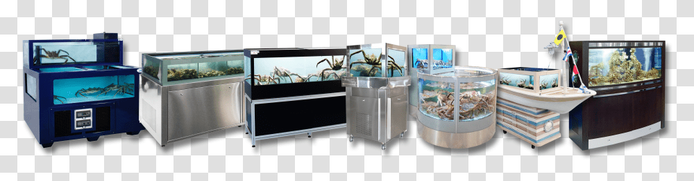 Aquariums Acquario Adriatic Sea Transparent Png