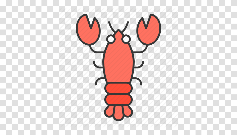 Aquatic Animal Lobster Ocean Icon, Seafood, Crawdad, Sea Life, Seed Transparent Png