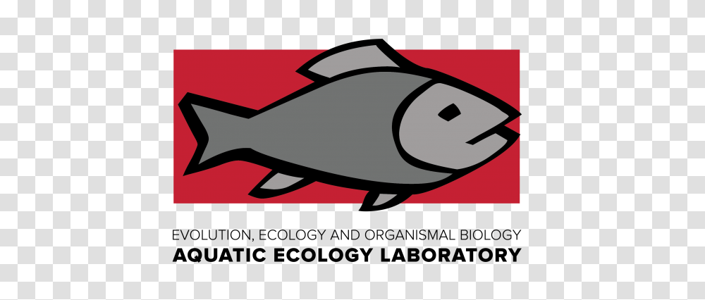 Aquatic Ecology Laboratory, Fish, Animal, Sea Life, Tuna Transparent Png