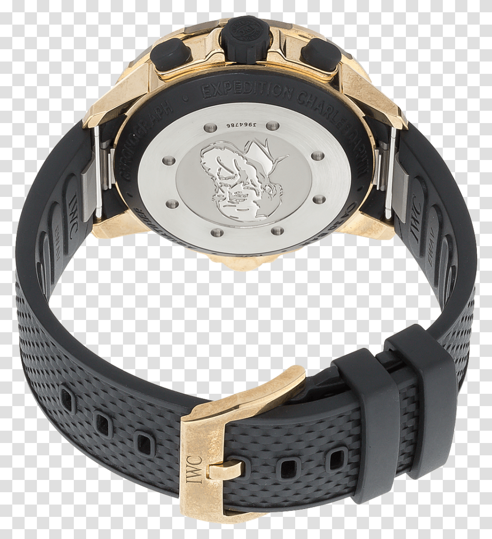 Aquatimer Chronograph Expedition Charles Darwin Bronze Analog Watch, Wristwatch Transparent Png