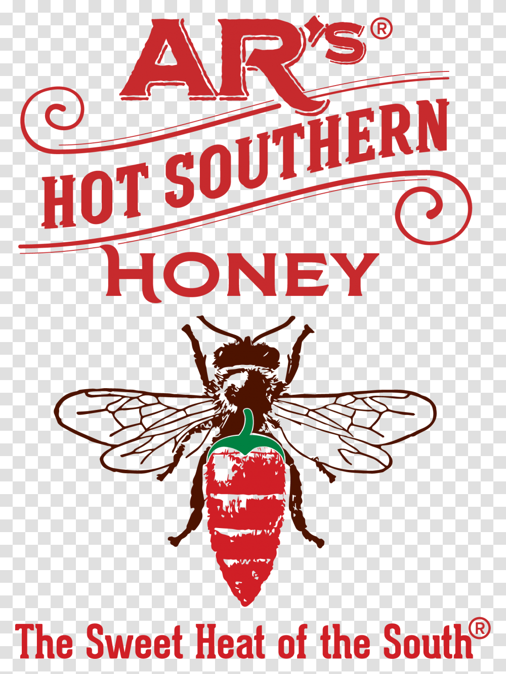 Ar Southern Honey, Wasp, Bee, Insect, Invertebrate Transparent Png