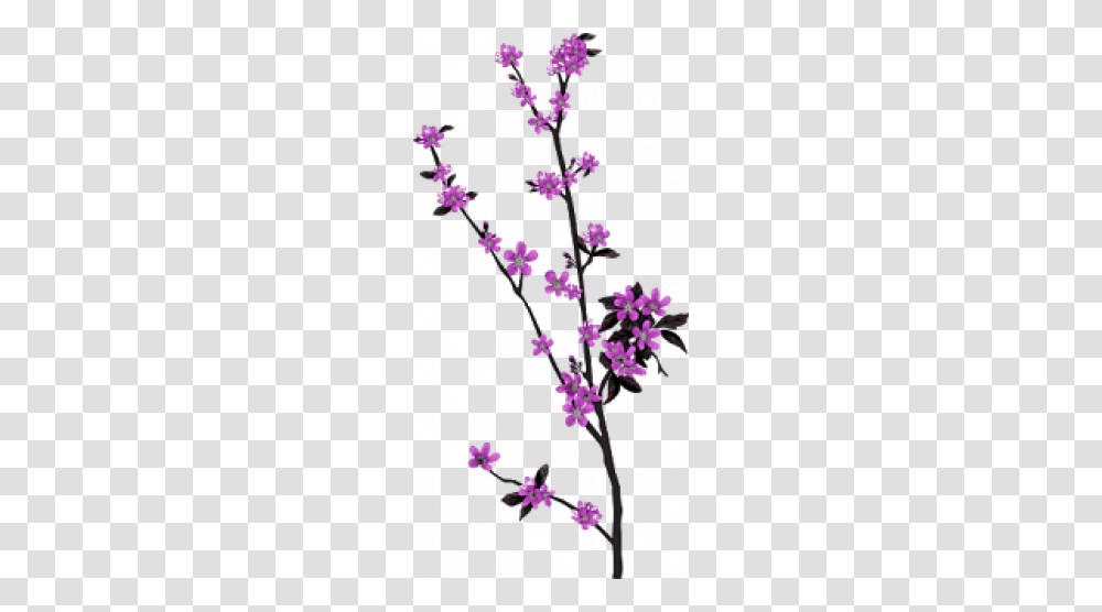Arabesco Vintage Free Images With Cliparts, Plant, Flower, Blossom, Lilac Transparent Png