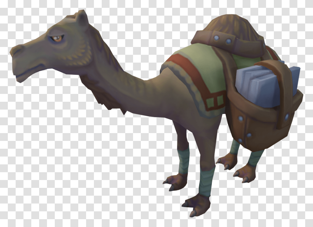 Arabian Camel, Animal, Dinosaur, Reptile, T-Rex Transparent Png