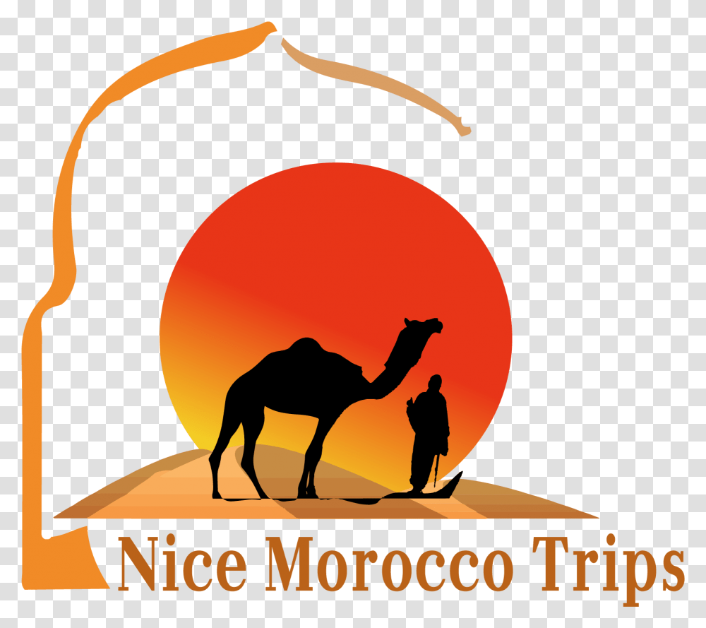 Arabian Camel Clipart Download Arabian Camel, Person, Human, Animal, Mammal Transparent Png