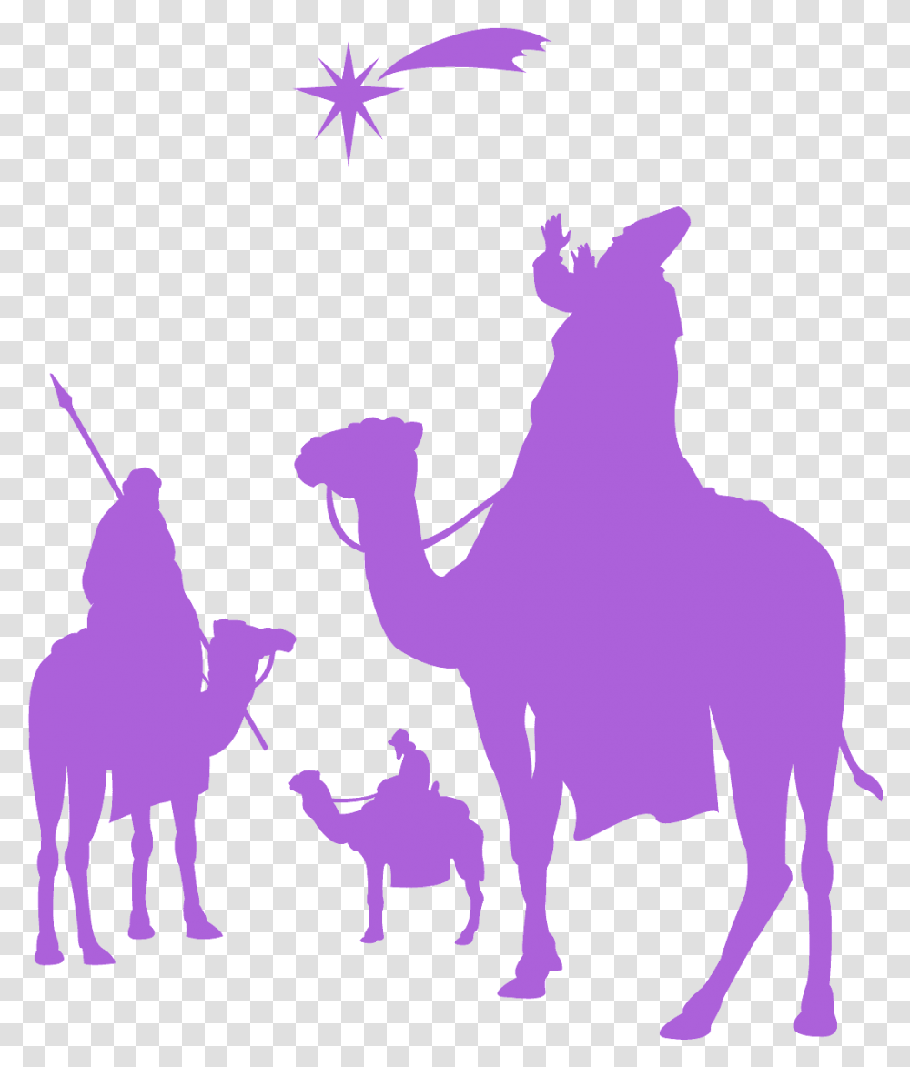 Arabian Camel, Mammal, Animal, Person, Human Transparent Png
