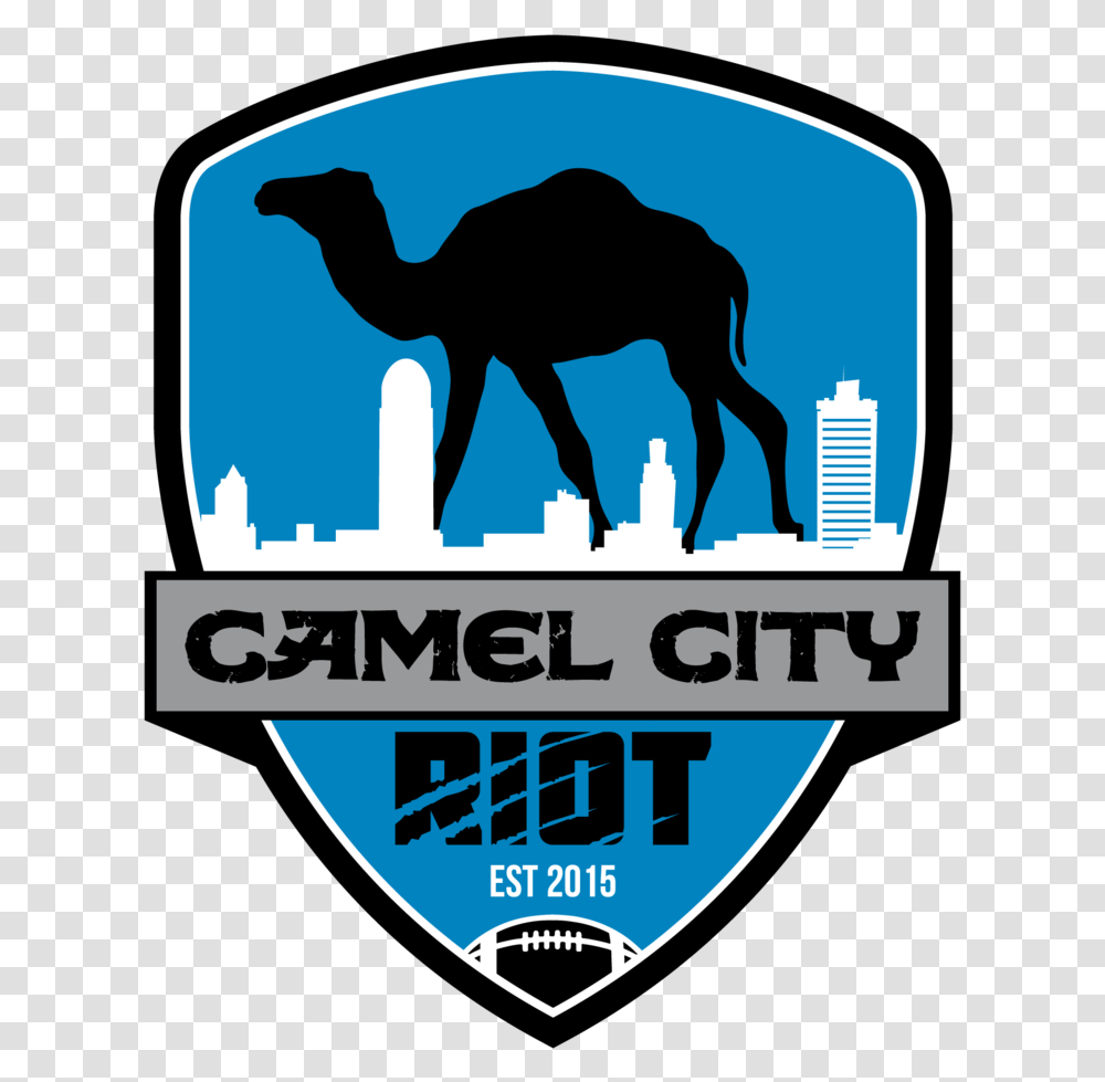 Arabian Camel, Mammal, Animal Transparent Png
