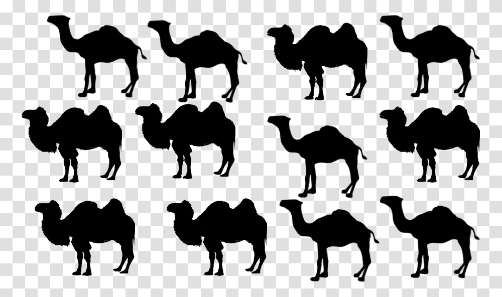 Arabian Camel, Silhouette, Hand, Nature Transparent Png