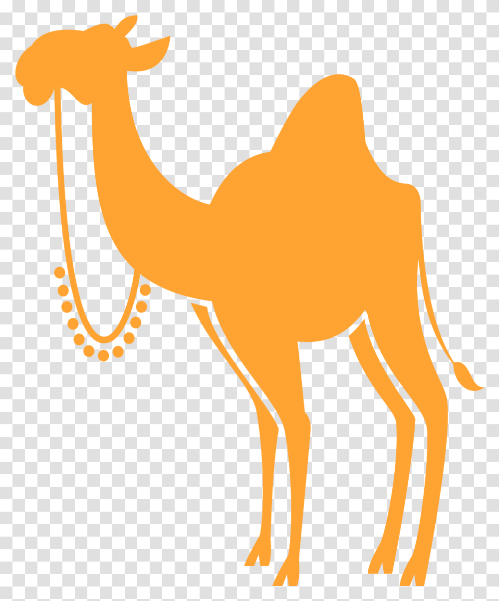 Arabian Camel, Face, Logo Transparent Png