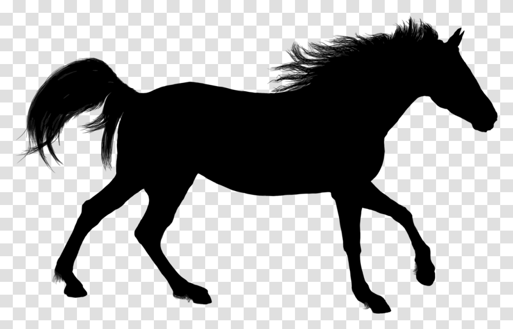 Arabian Horse American Paint Horse Silhouette Equestrian Horse, Gray, World Of Warcraft Transparent Png