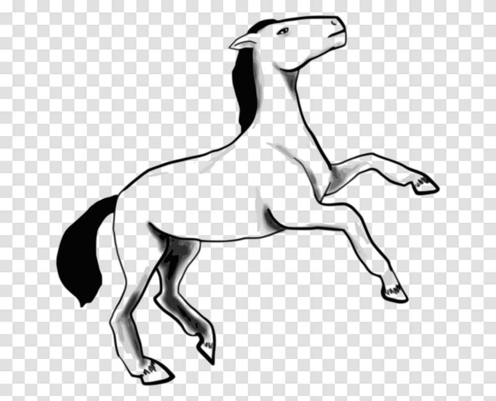 Arabian Horse Dog Pony Foal Computer Icons, Stencil, Antelope, Wildlife, Mammal Transparent Png