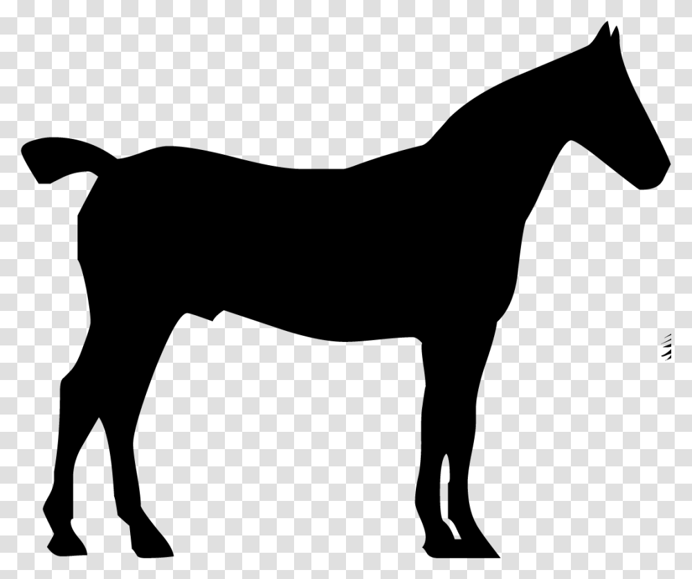 Arabian Horse Head Silhouette, Mammal, Animal, Stencil, Colt Horse Transparent Png