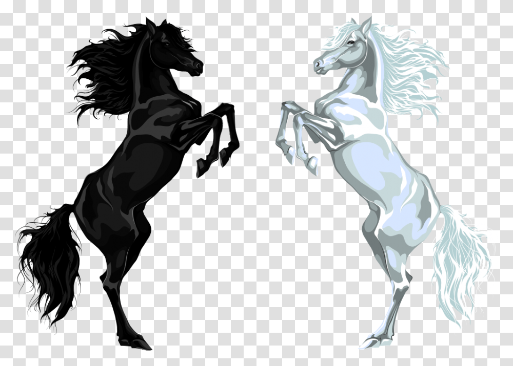 Arabian Horse Stallion Euclidean Vector Illustration Black Horse Free, Mammal, Animal, Person Transparent Png