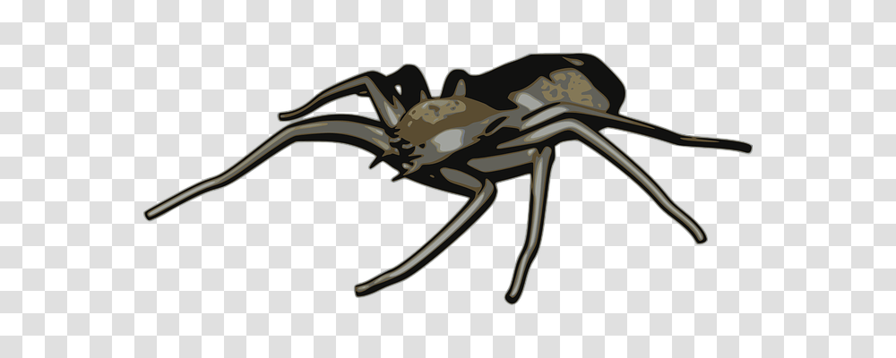 Arachnid Animals, Crab, Seafood, Sea Life Transparent Png