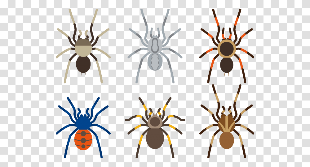Arachnid Clipart Tarantula Spider, Insect, Invertebrate, Animal, Stencil Transparent Png
