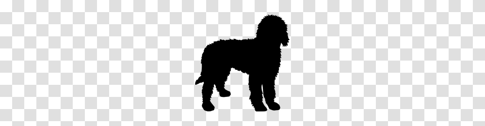 Arad House Goldendoodle, Gray, Outdoors Transparent Png