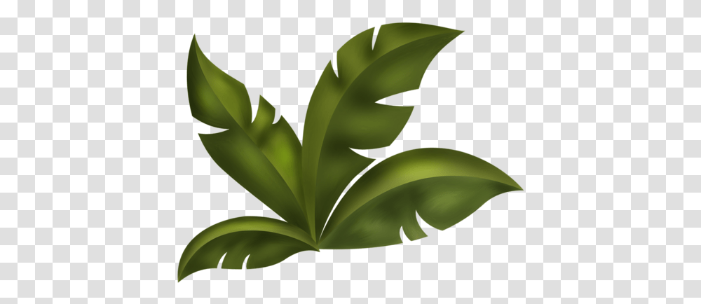 Arana Kits Scrap Jungle Tree Leaf Clipart, Plant, Green, Vegetation, Vase Transparent Png