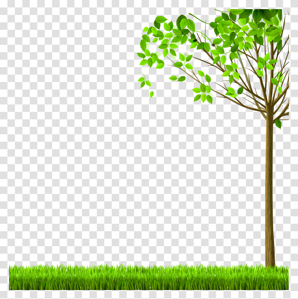 Arbol Clipart Nature, Plant, Tree, Leaf, Grass Transparent Png